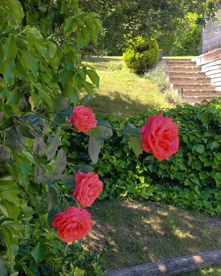 Ca'Luna Guest House Мондови Экстерьер фото